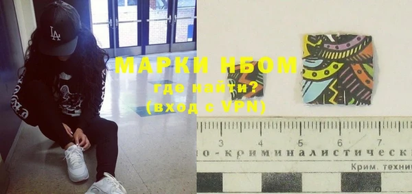 стаф Белокуриха