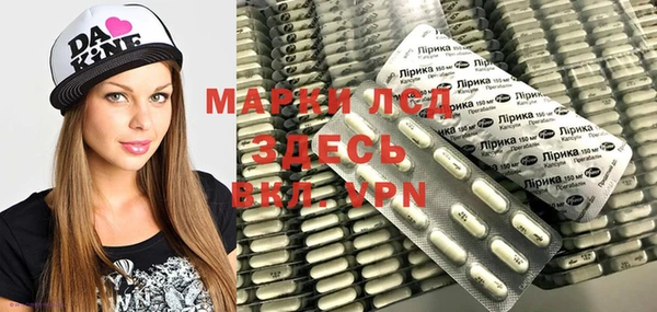 стаф Белокуриха