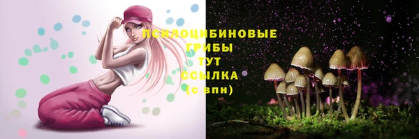 стаф Белокуриха