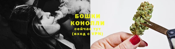 стаф Белокуриха