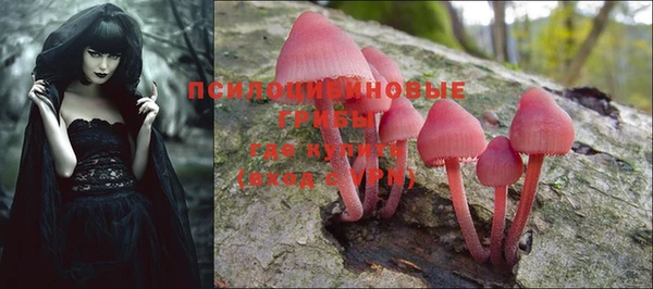 марки lsd Белоозёрский