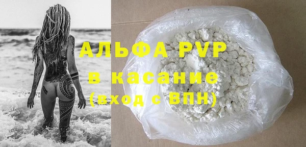 стаф Белокуриха